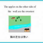 隣の芝生は青いと感じたら読む記事～26歳編～